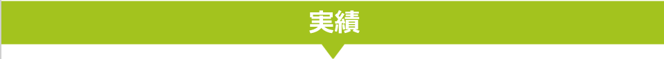実績
